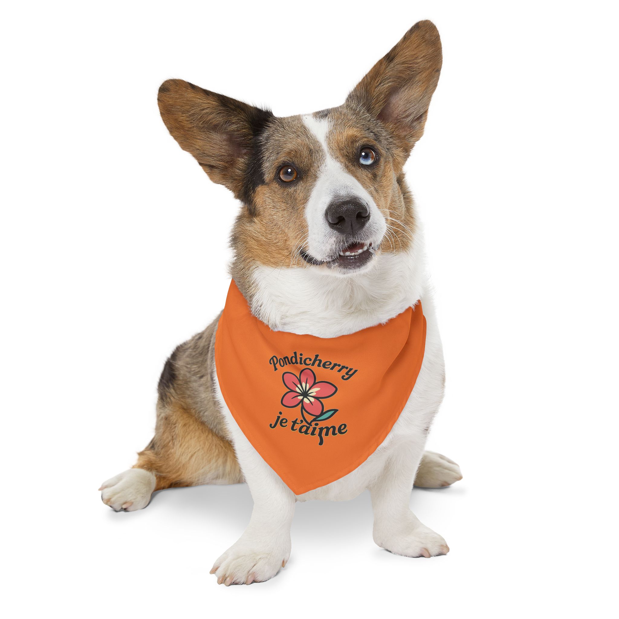 Pondicherry Je t’aime – Pet Collar-Bandana - Image 8