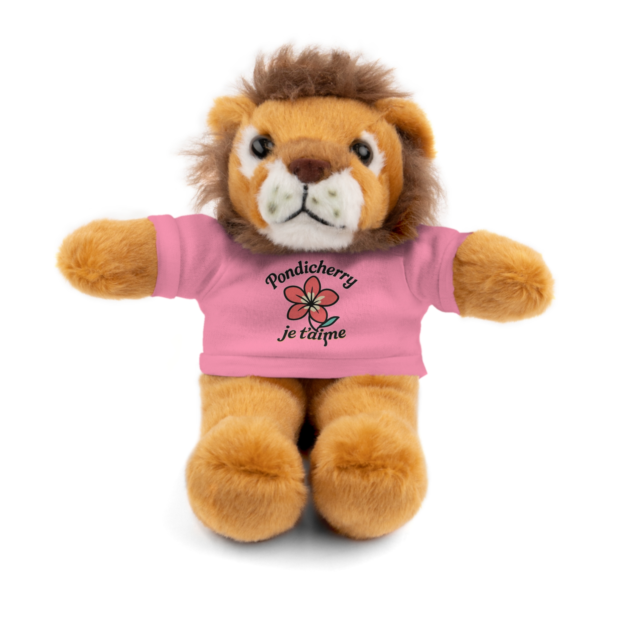 Stuffed Animal-Pondicherry je t’aime - Image 15