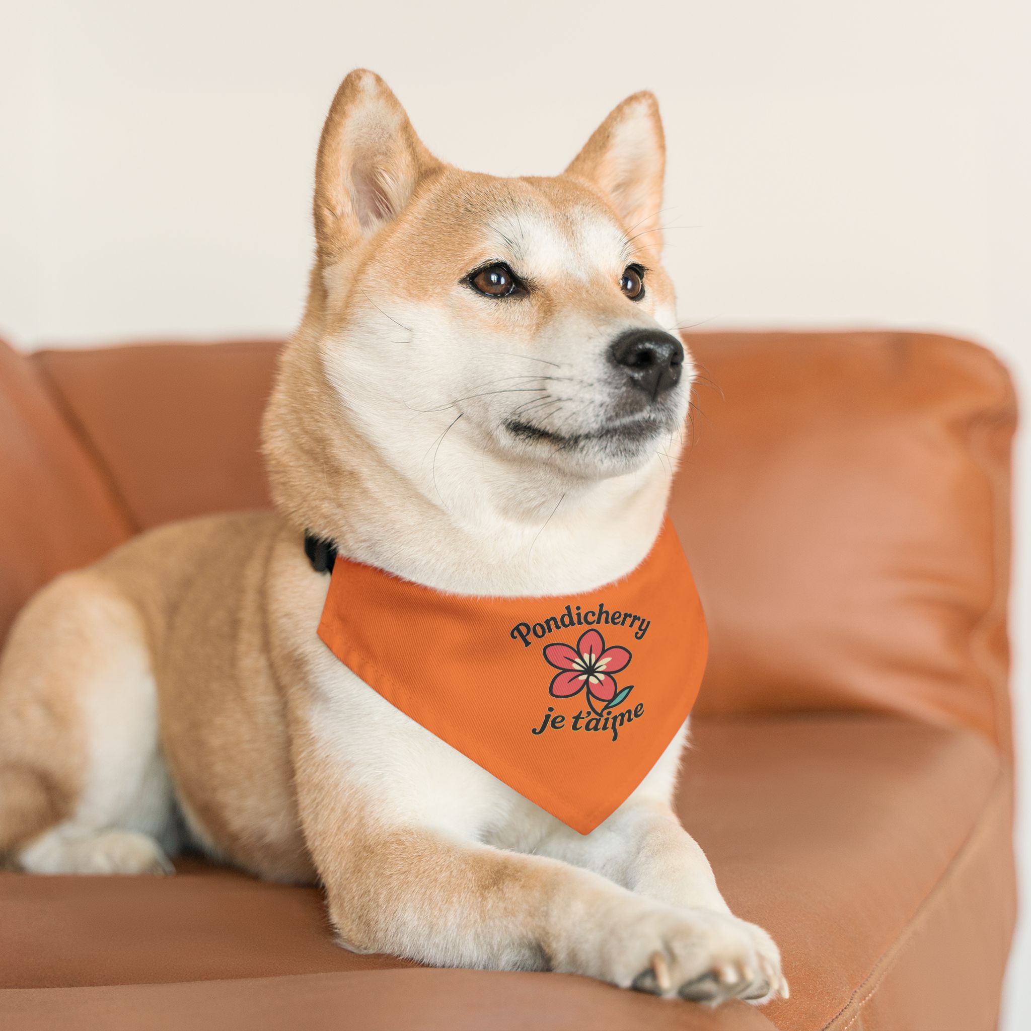 Pondicherry Je t’aime – Pet Collar-Bandana - Image 4