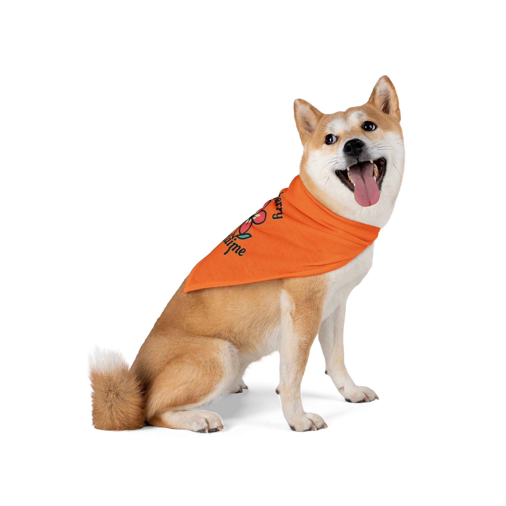 Pondicherry Je t’aime – Pet Bandana