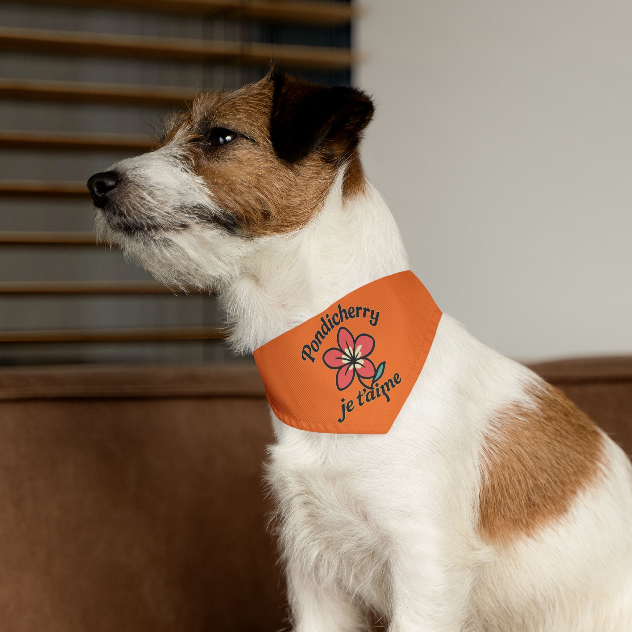 Pondicherry Je t’aime – Pet Collar-Bandana - Image 6