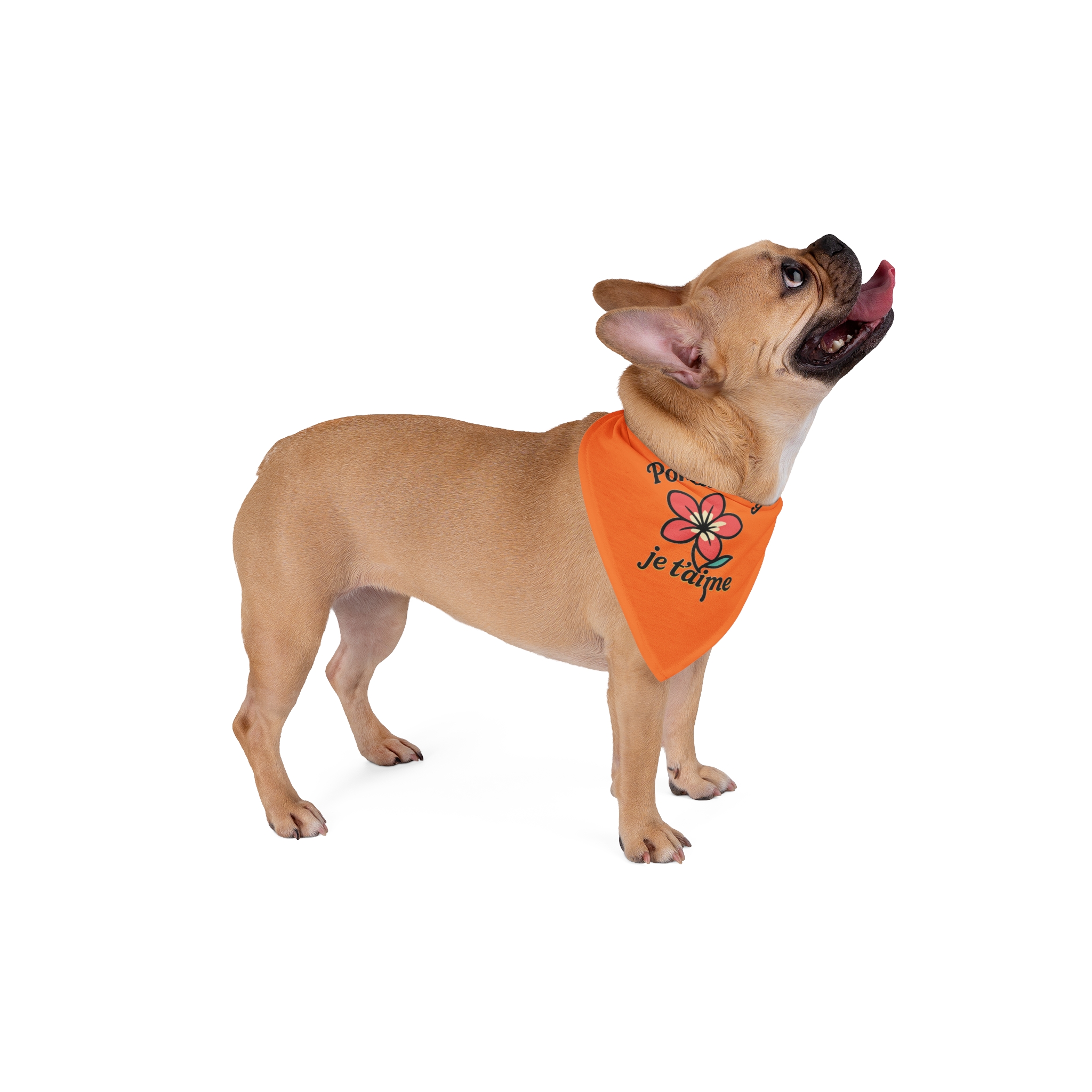 Pondicherry Je t’aime – Pet Bandana - Image 4