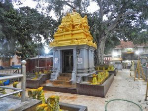 Arulmigu Sri Nagaraja Temple in Nagercoil