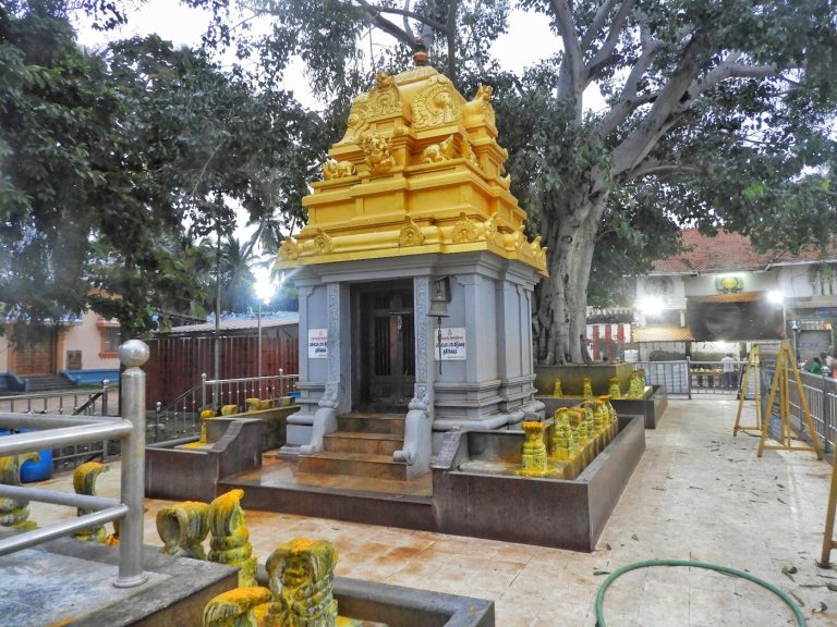 Visiting Nagaraja Temple in Nagercoil: A Practical Guide