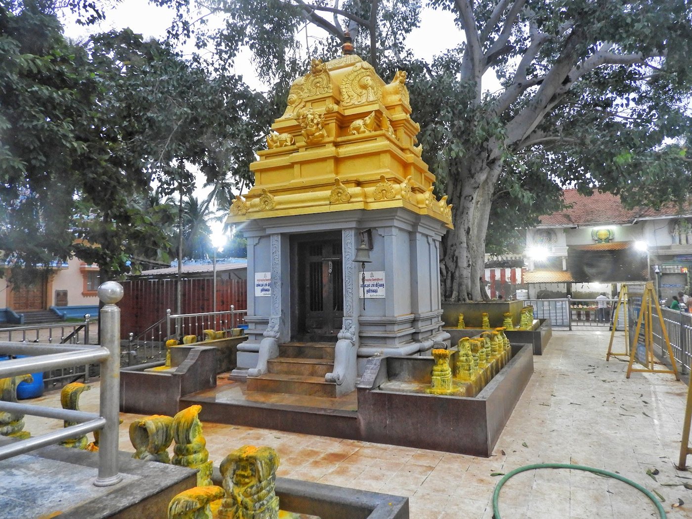 Arulmigu Sri Nagaraja Temple in Nagercoil